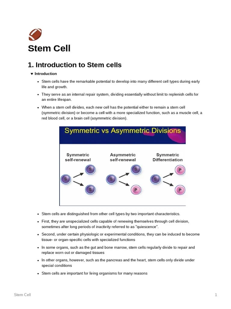 Stem Cells Worksheet Of 24601 Pdf Cell Potency Stem Cell - Light Photo Collection - Mobile Quality