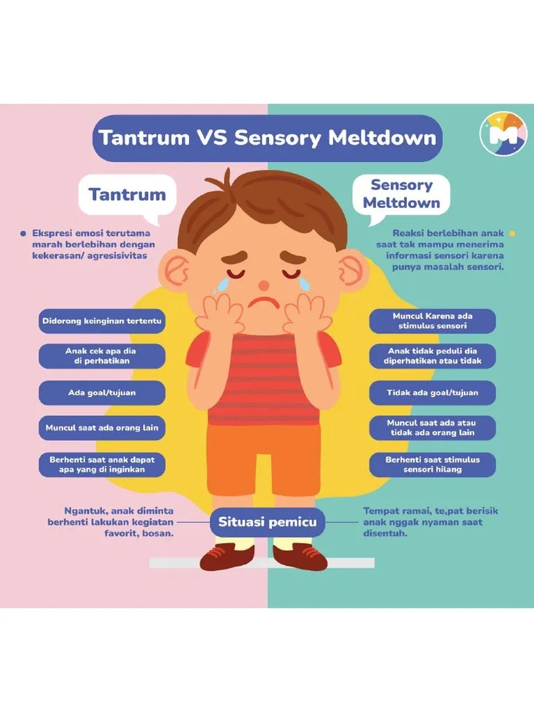Tantrum Vs Sensory Meltdown-01 | PDF