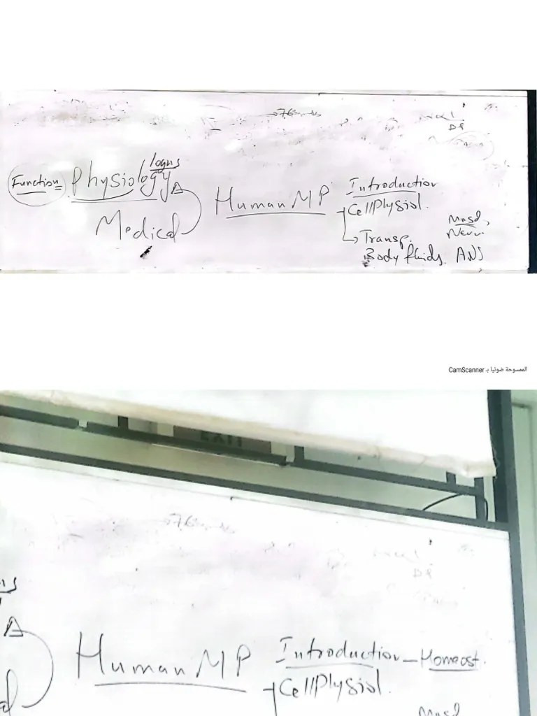 Physiology Lecture 1 | PDF