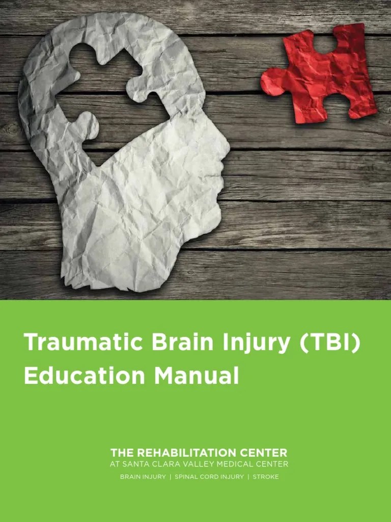 Traumatic Brain Injury Manual | PDF
