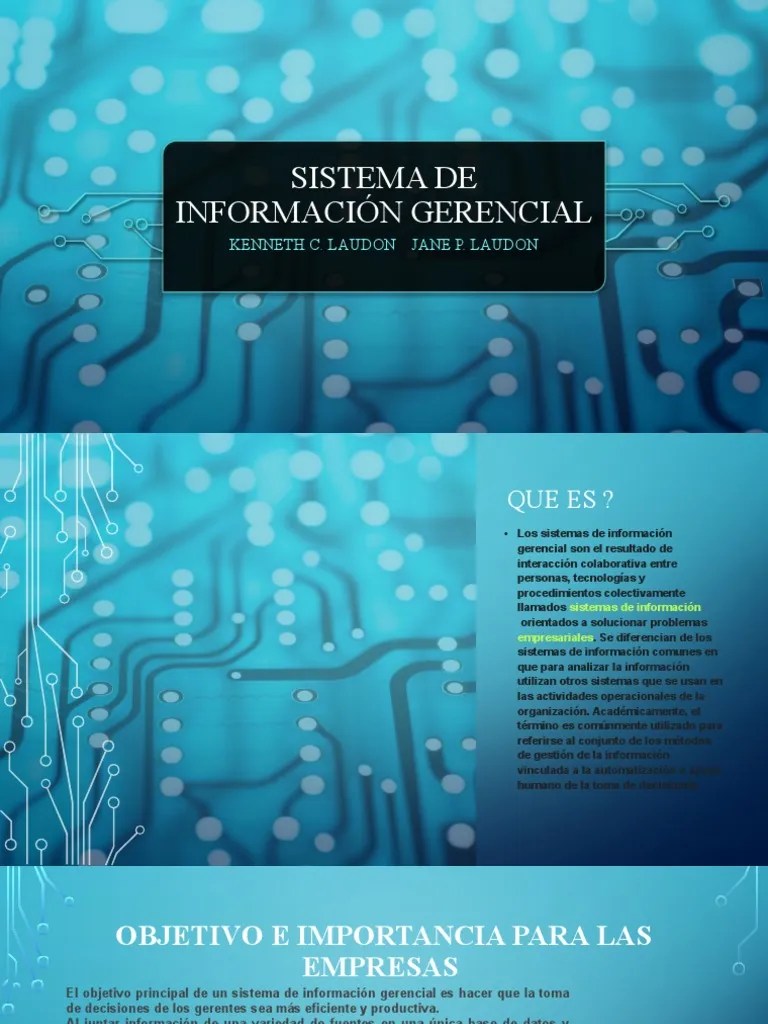 Sistema De Información Gerencial | PDF