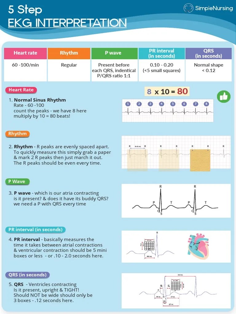 5 Step Ekg Interpretation Pdf