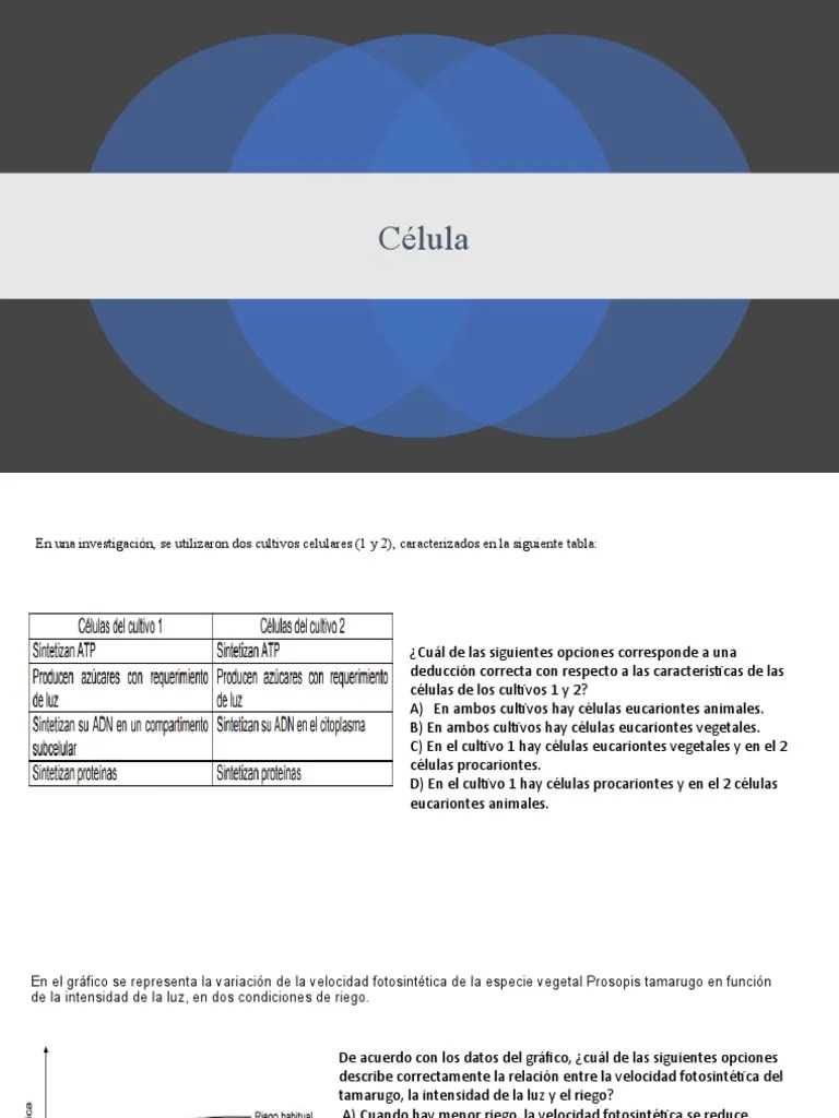 CELULA | PDF