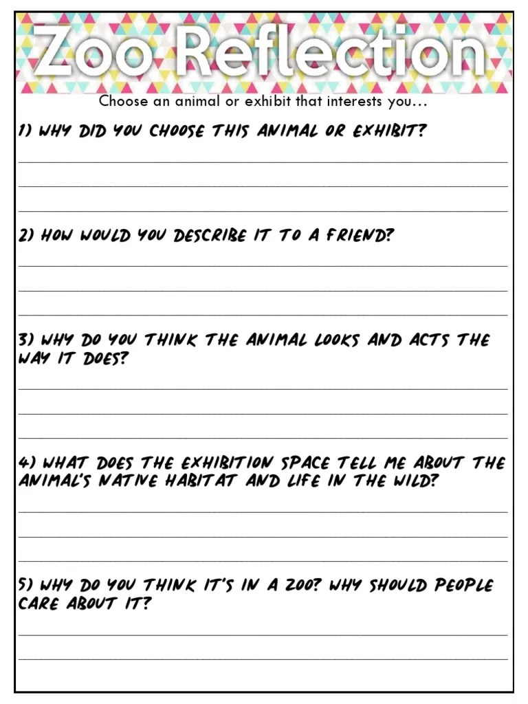 Zoo Reflection Questions | PDF | Computers | Technology & Engineering
