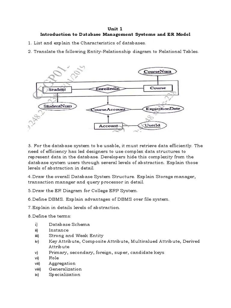 Database Management Basics | PDF | Computers