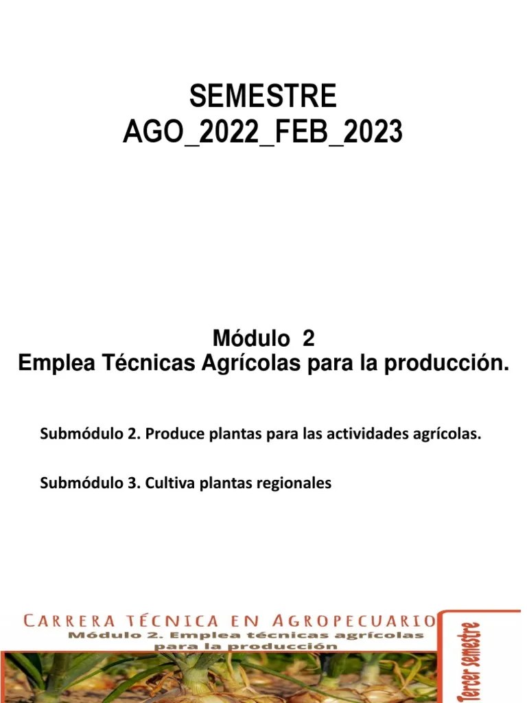 2do PARCIAL | PDF