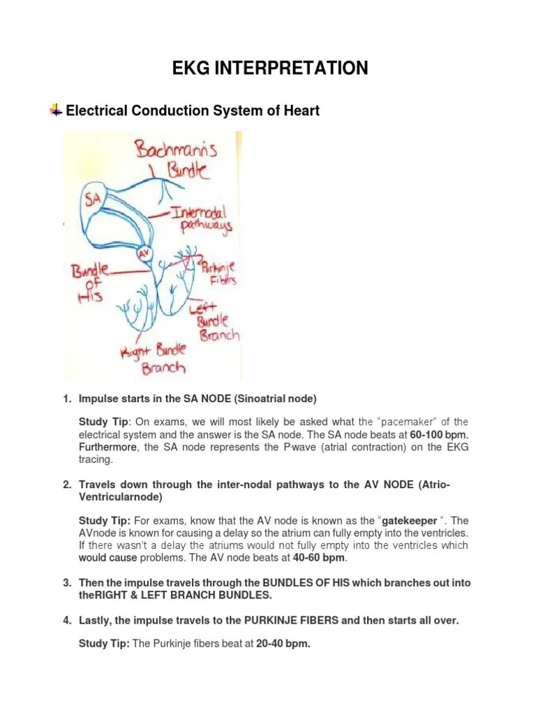 ECG Interpretation | PDF | Electrocardiography | Heart