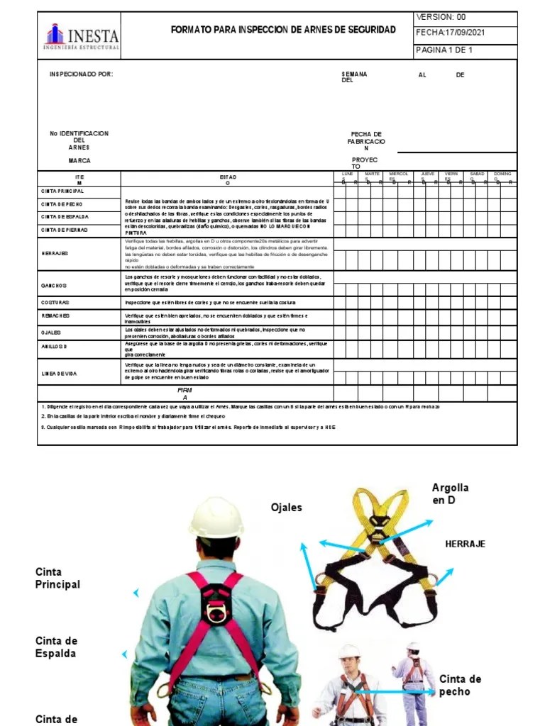 Formato Inspeccion De Arnes | PDF