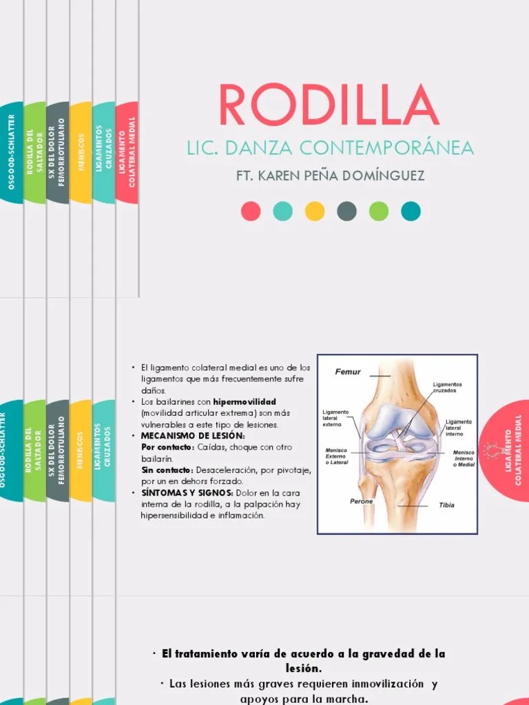 Anatomia Humana Pdf Rodilla Articulaci N - High Quality Abstract Image - 4K