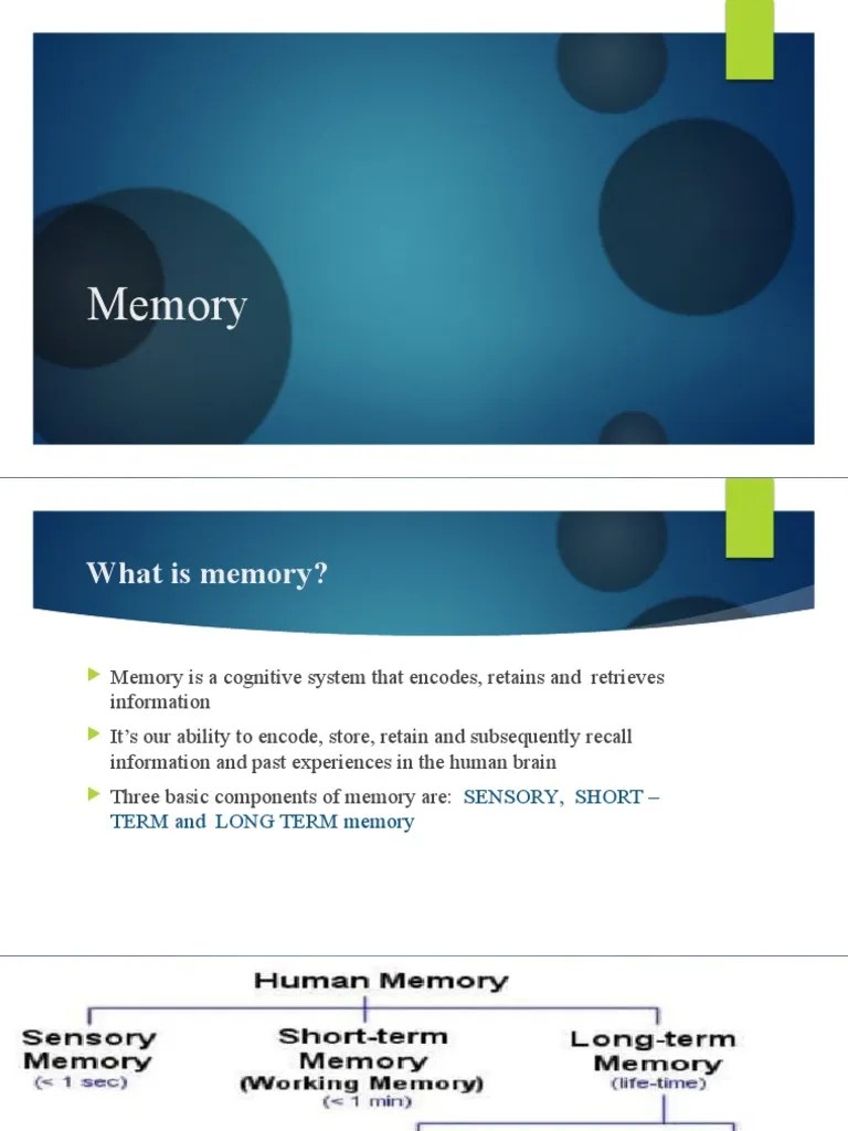 Memory | PDF | Memory | Recall (Memory)