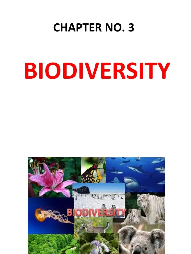 BIODIVERSITY | PDF | Biodiversity | Himalayas