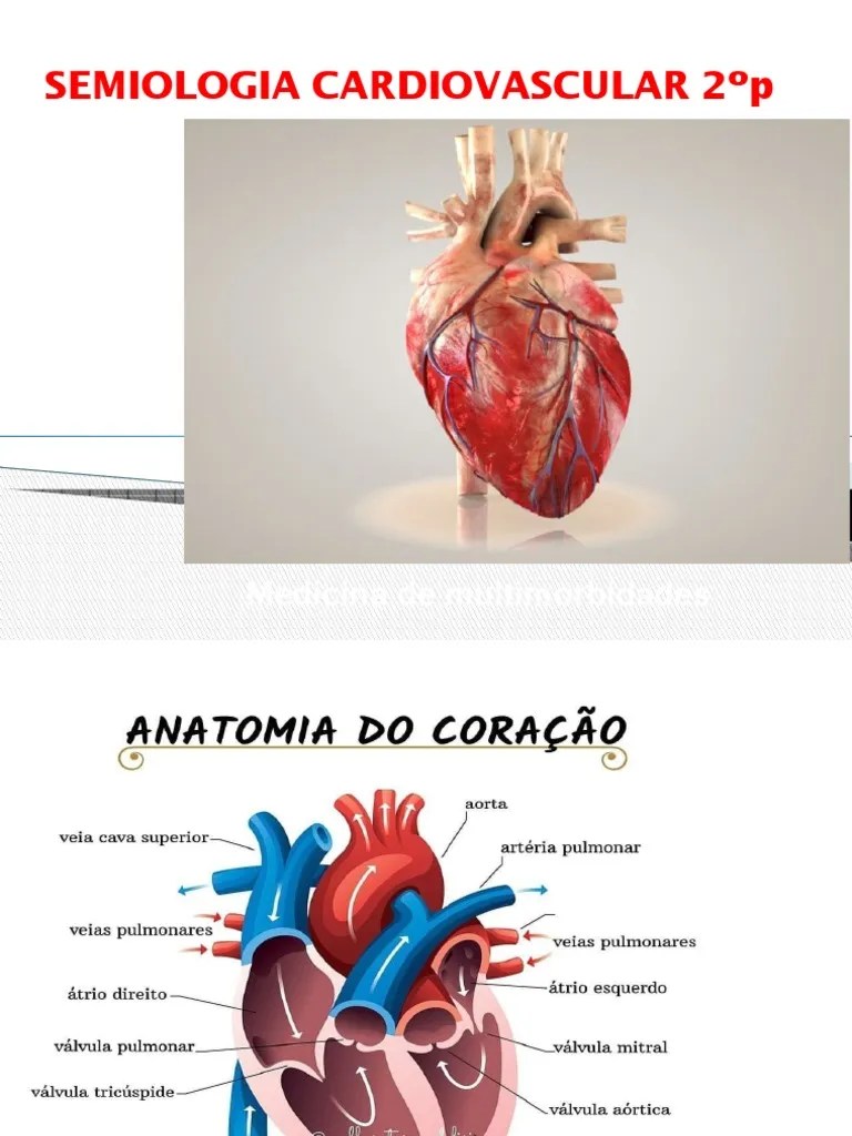 Semiologia Cardiovascular 2.ºp | PDF | Coração | Órgão (anatomia)