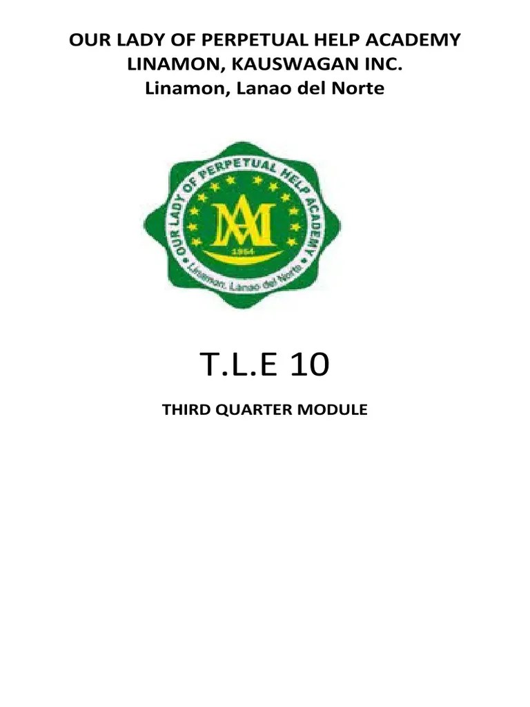 TLE 10 3rd Quarter Module | PDF