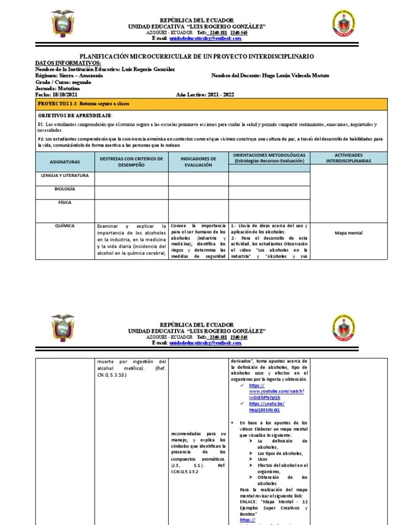 Planificación Proyecto 1 | PDF | Cognición