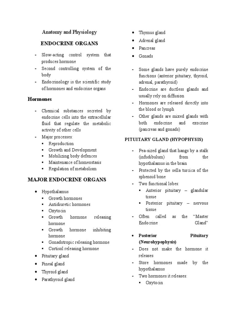 Endocrine System | PDF | Endocrine System | Adrenal Gland