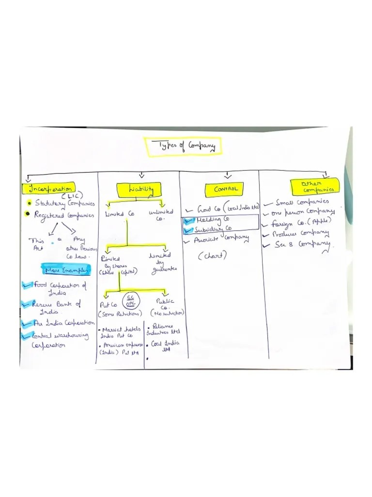 Types Of Companies | PDF