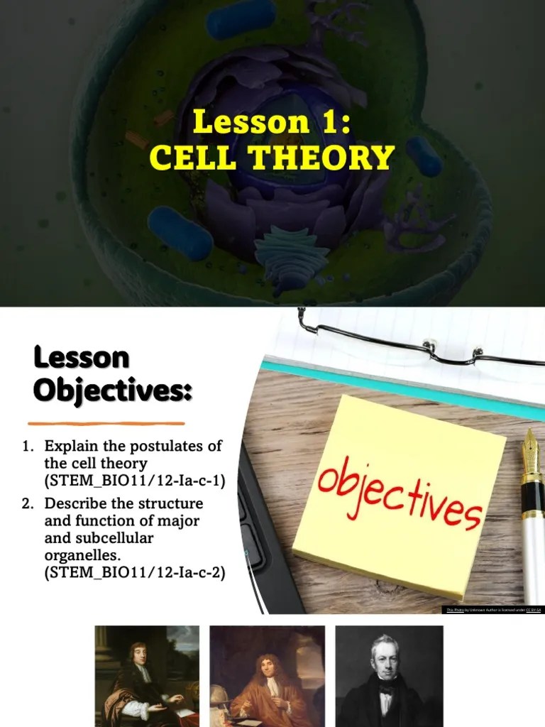 Lesson 1 Cell Theory | PDF | Cell (Biology) | Organisms