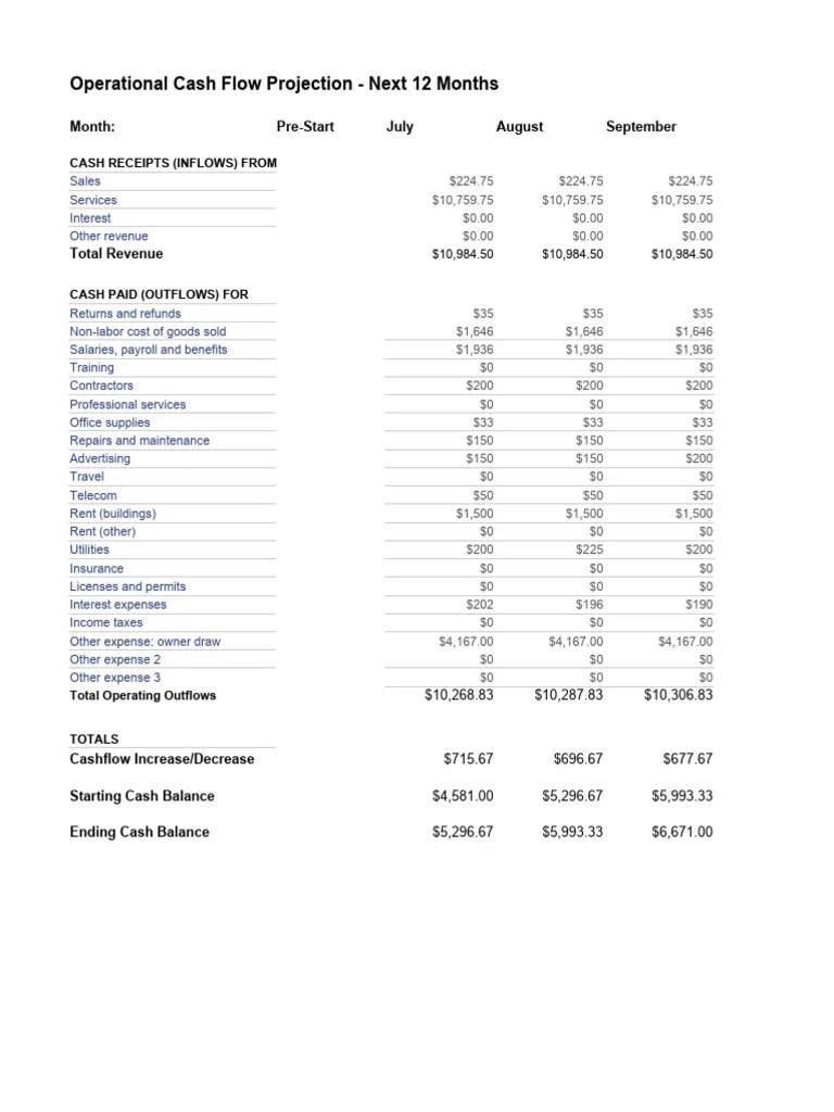 Cash Flow Analysis Sample | PDF | Expense | Revenue
