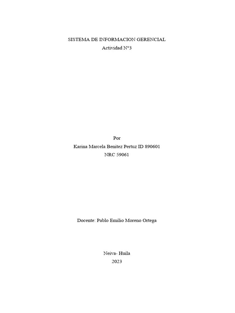 Sistema De Informacion Gerencial | PDF | Planificación De Recursos ...