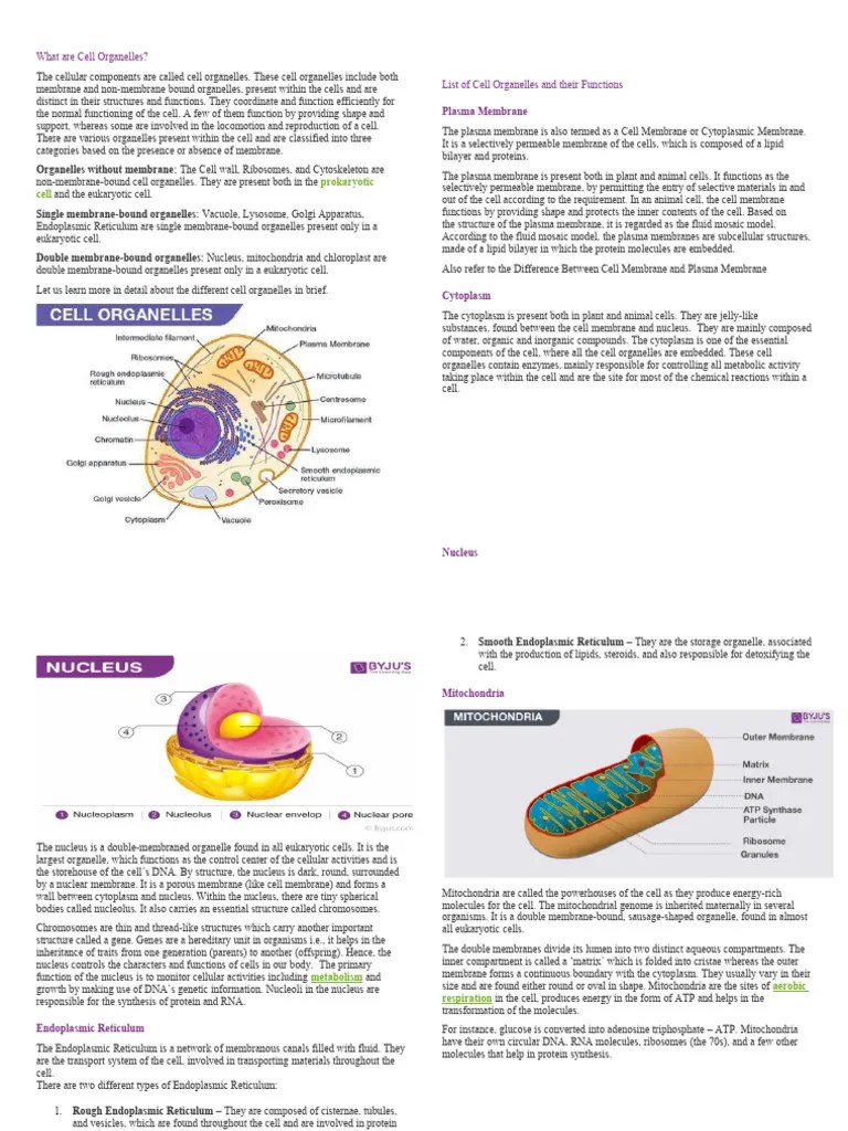 What Are Cell Organelles | PDF | Cell (Biology) | Cell Membrane