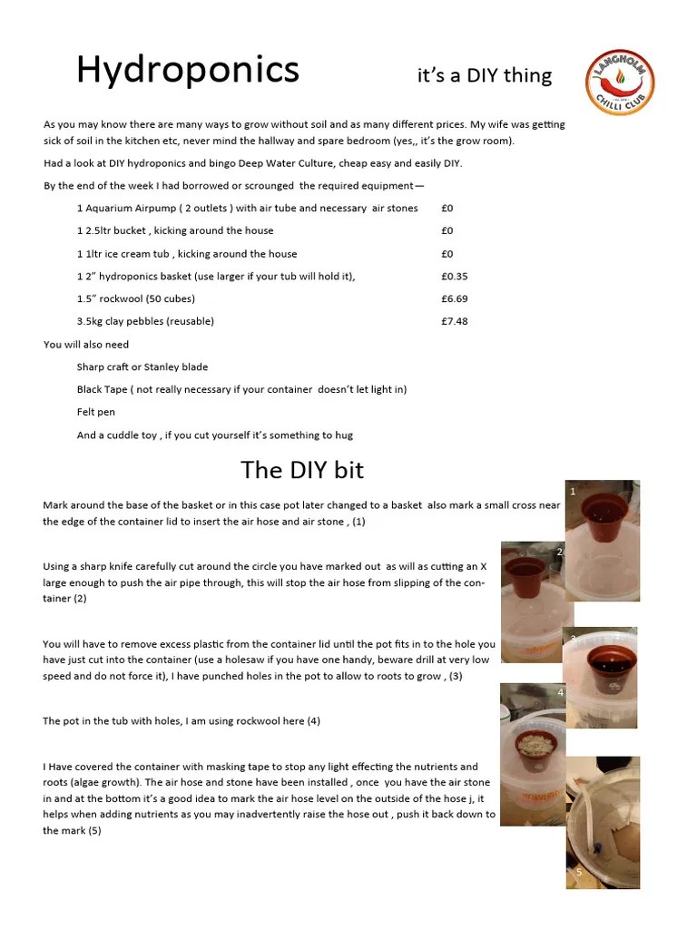 Hydroponics DIY | PDF | Hydroponics | Agriculture