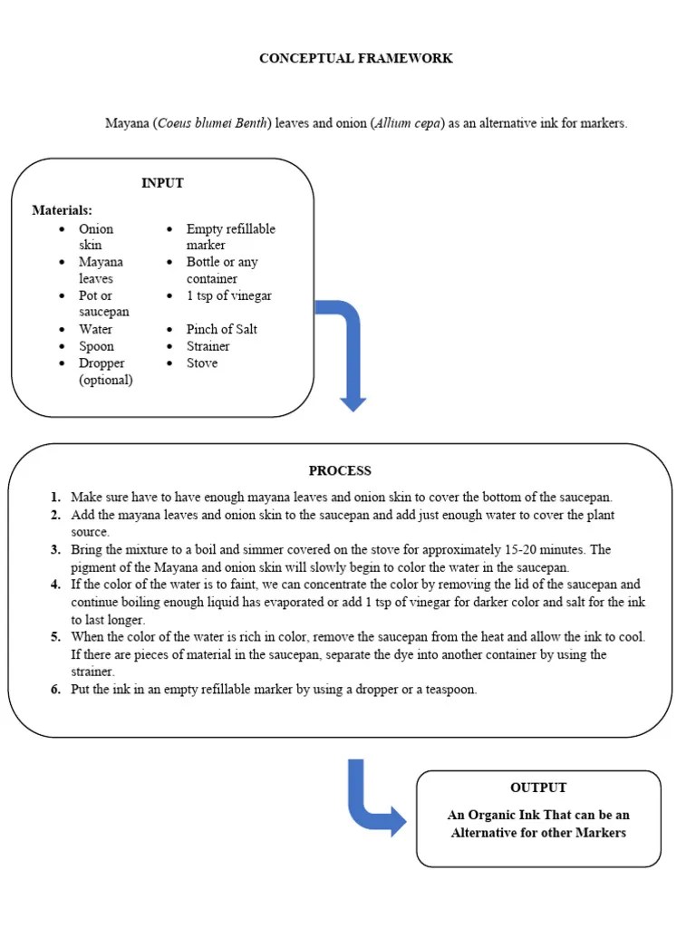 Conceptual Framework Sample | PDF
