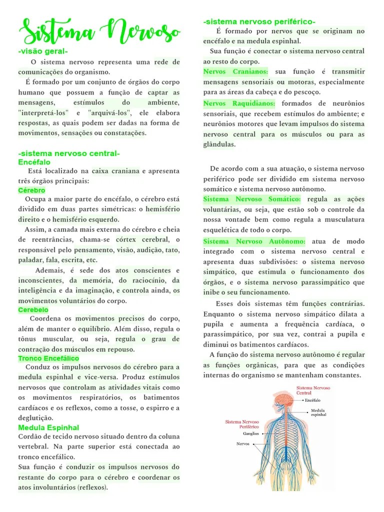 Sistema Nervoso | PDF | Cérebro | Sistema Nervoso