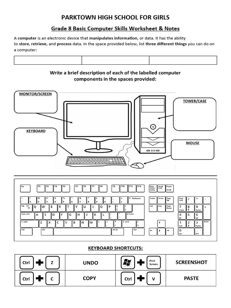 Basic Computer Skills Diagram Worksheet | PDF | Career & Growth | Computers