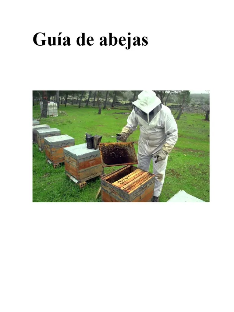 Abejas | PDF | Abejas | Apicultura