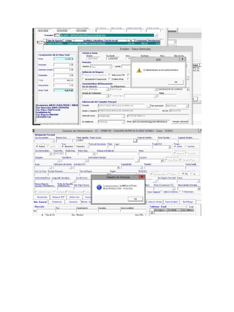 Anexo 1 - 1732291 | PDF