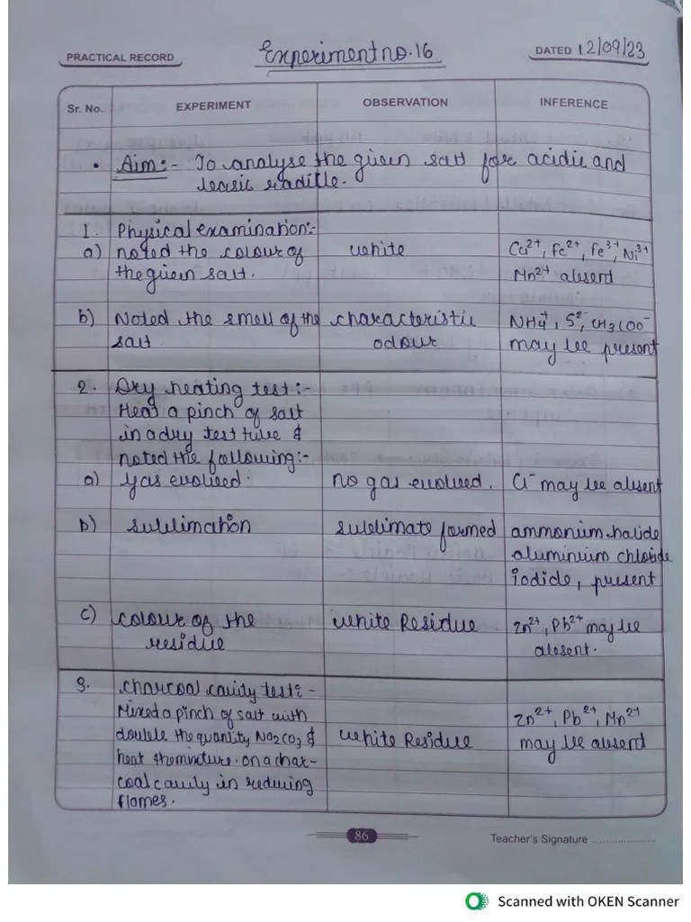Chem Practical | PDF