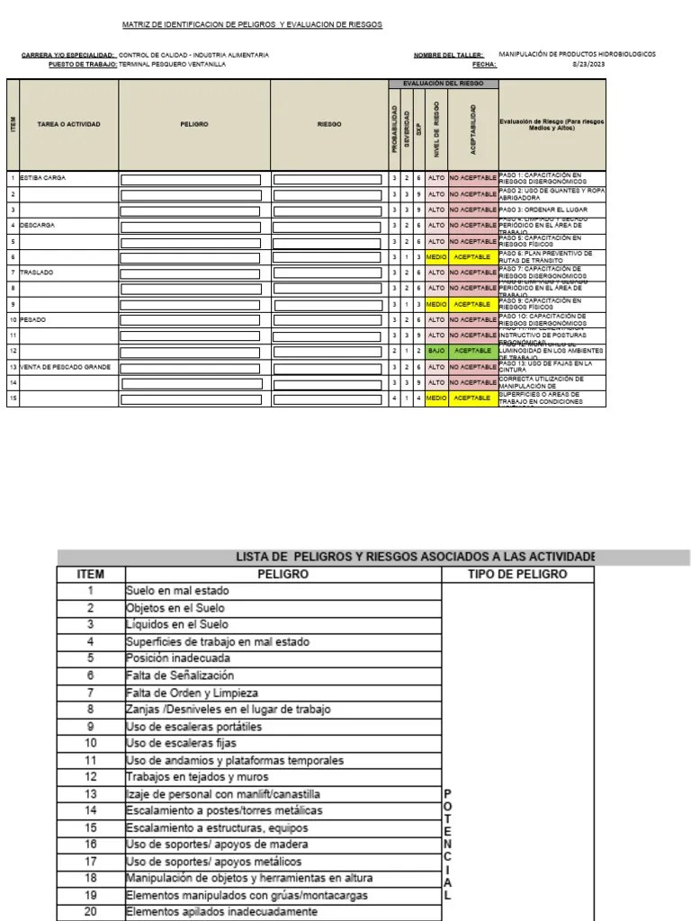 Matriz De Identificacion De Peligros Y Evaluacion De Riesgos | PDF | Quemar | Química