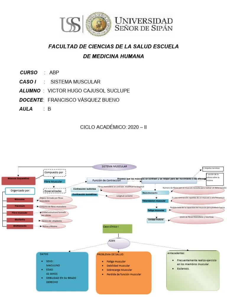 Aula 4 Sistema Muscular Pdf M Sculo Esquel Tico Cora O - Modern 4K Light Photos | Free Download