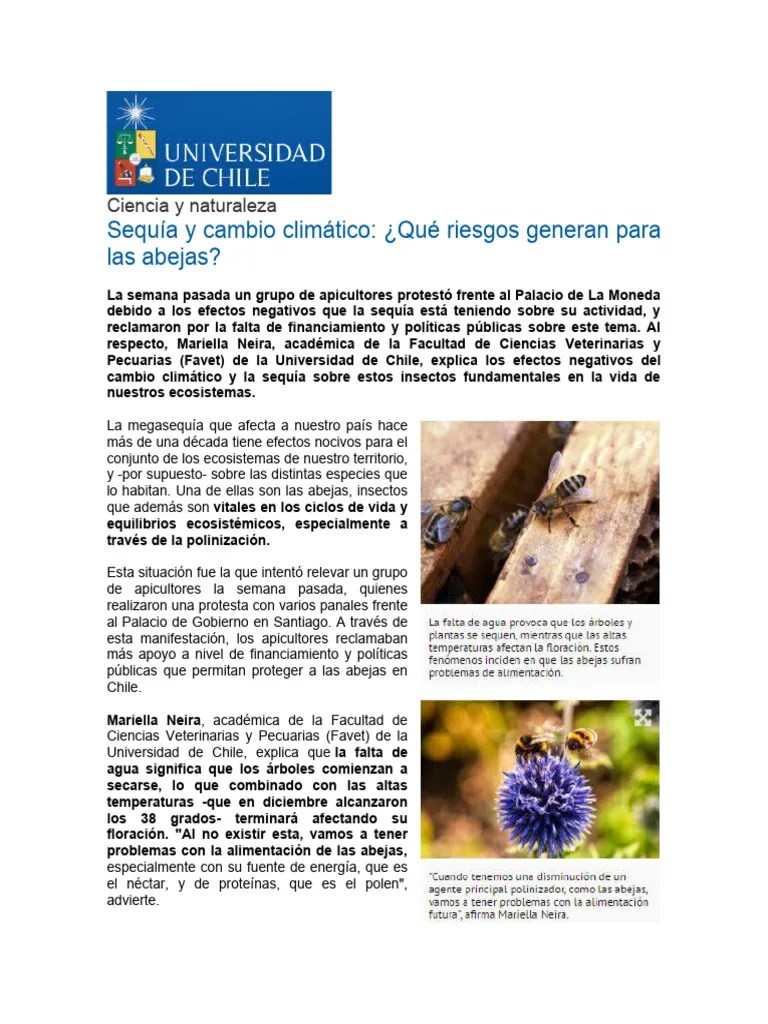 Ciencia Y Naturaleza - Cambio Climático Afecta En Las Abejas | PDF | Abejas | Apicultura