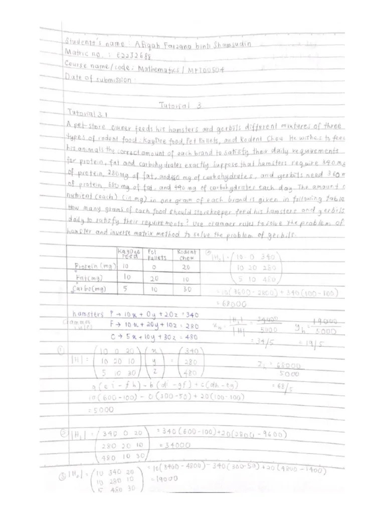 Maths Tutorial 3 | PDF