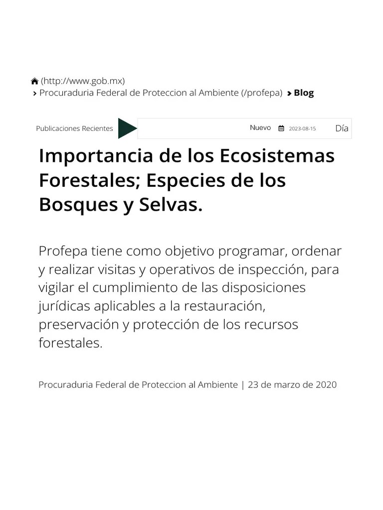 Importancia De Los Ecosistemas Forestales Especies De Los Bosques Y Selvas. P | PDF | Los ...