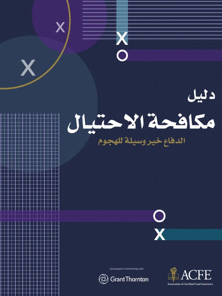 Anti Fraud PlayBook | PDF