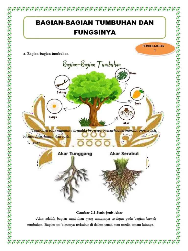 Bagian Bagian Tumbuhan Dan Fungsinya | PDF