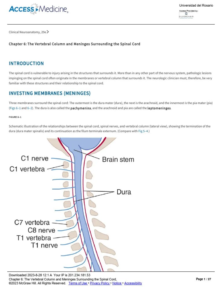 Chapter 6 - The Vertebral Column And Meninges Surrounding The Spinal ...