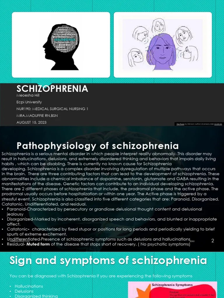 Case Study Schizophrenia | PDF