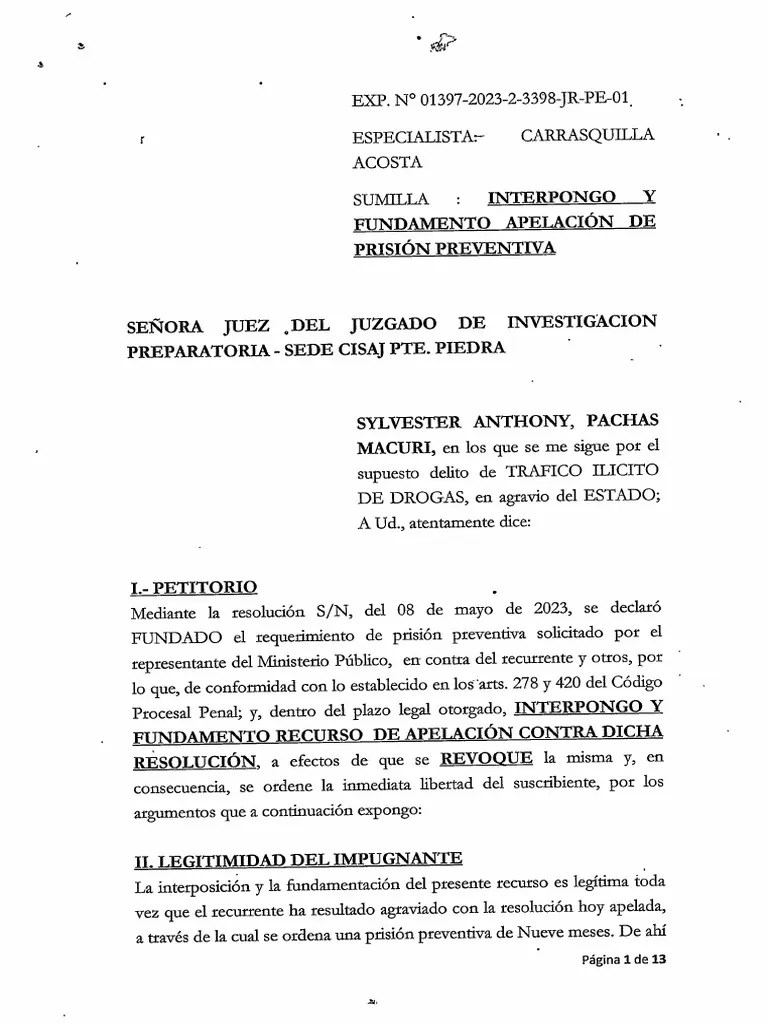 Apelacion De Prision Preventiva | PDF