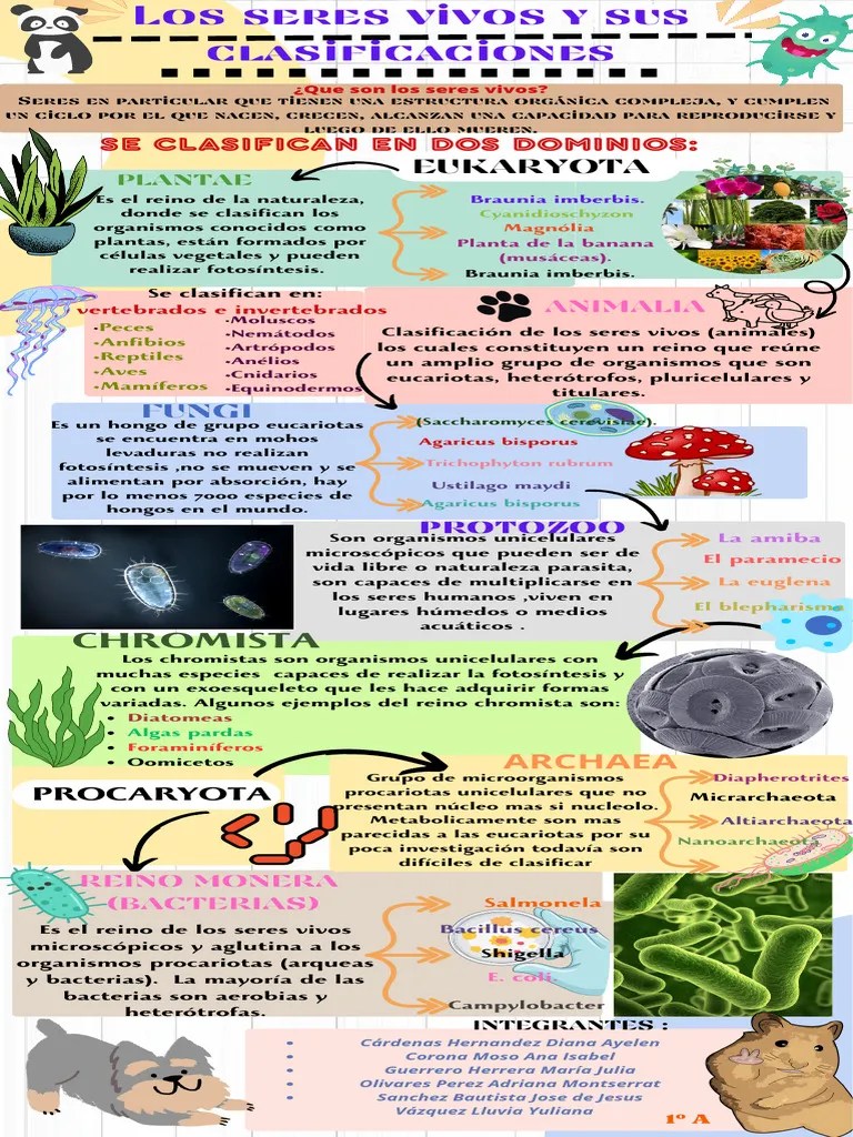 Clasificación De Los Seres Vivos | PDF | Eucariotas | Plantas