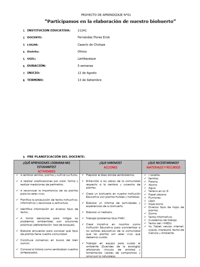 1 - Proyecto De Aprendizaje 1 | PDF