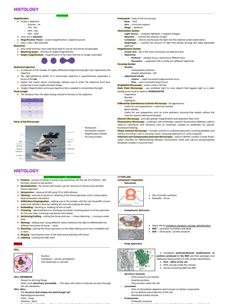 Histology | PDF | Epithelium | Connective Tissue