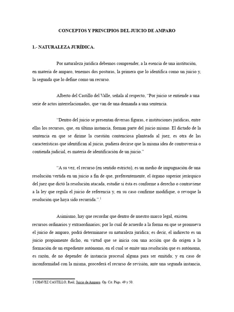Conceptos Y Principios Del Juicio De Amparo Original | PDF