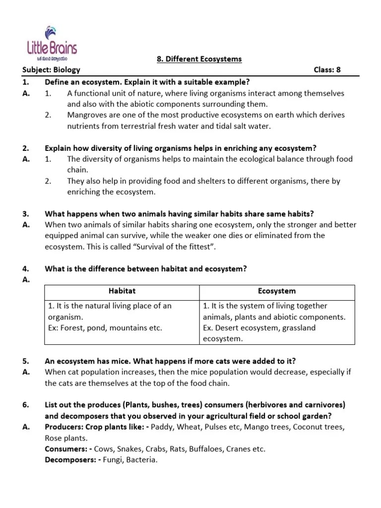 Different Ecosystems | PDF