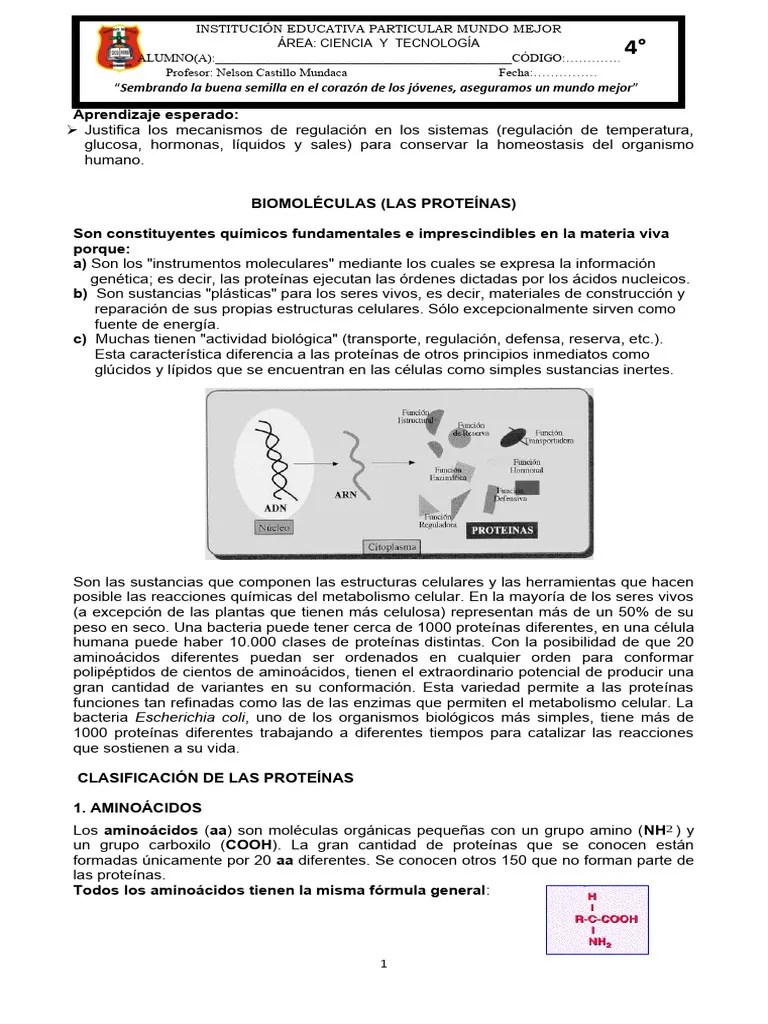 Módulo De Aprendizaje (Proteínas) | PDF