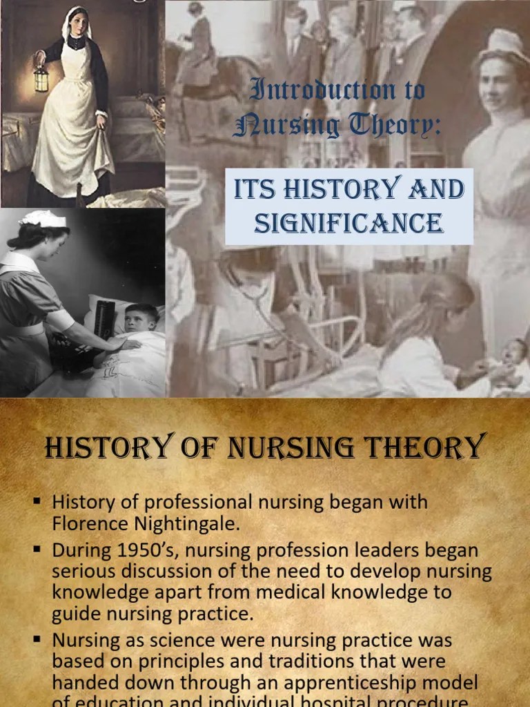 Introduction To Nursing Theory | PDF