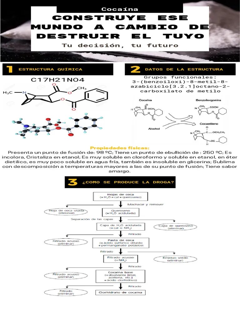 Infografía Cocaína | PDF