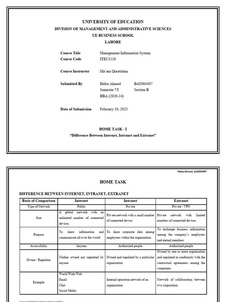 Home Task I - Difference Between Internet, Intranet And Extranet | PDF